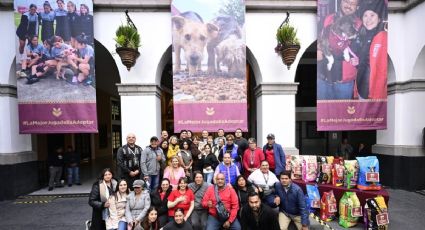 Mexiquenses donan 8 toneladas de alimento en la “Colecta de amor por los que no tienen voz: Delfina Gómez entrega el apoyo a protectoras de animales