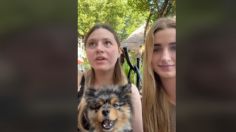 Turistas estadounidenses intentaron robar un perrito en Cancún, denuncian dos mexicanas | VIDEO