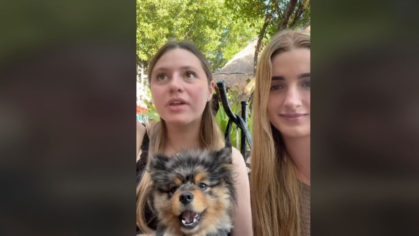 Turistas estadounidenses intentaron robar un perrito en Cancún, denuncian dos mexicanas | VIDEO