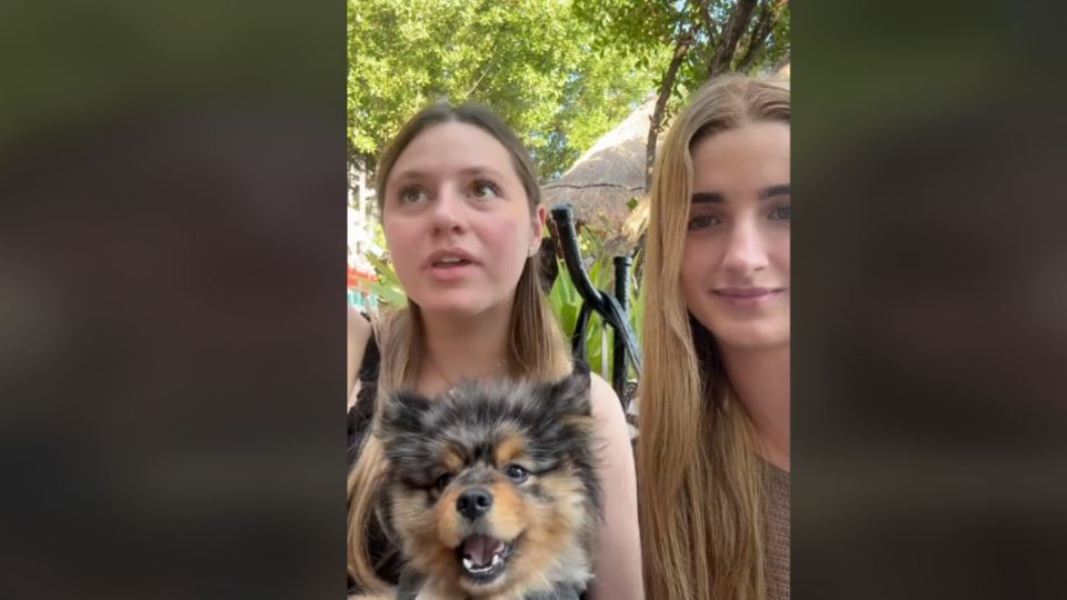 Dos chicas denunciaron a través de sus redes sociales que dos turistas de Estados Unidos intentaron robarle a su perrito.