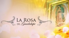 Luto en Televisa, muere famoso actor de La Rosa de Guadalupe