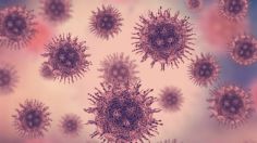 Autoridades encienden ALERTAS por Norovirus, enfermedad mortal altamente contagiosa