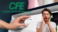 CFE te ayuda a cambiar tu refri, lavadora y electrodomésticos; estos son los requisitos