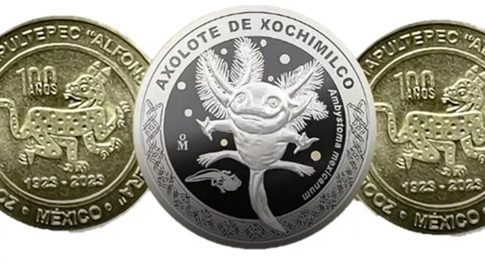 Así son las monedas conmemorativas por los 100 años del zoológico de Chapultepec.