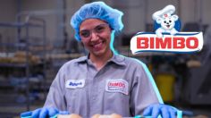 ¿Buscas chamba desde CASA? Bimbo abre vacantes para CDMX, ofrece descuentos en productos, INFONAVIT e IMSS