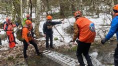 Dos hombres iniciaron una expedición para buscar a Pie Grande en el bosque y aparecieron muertos días después