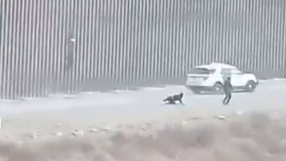 Un migrante es atropellado por la Patrulla Fronteriza cuando intentaba cruzar el muro.