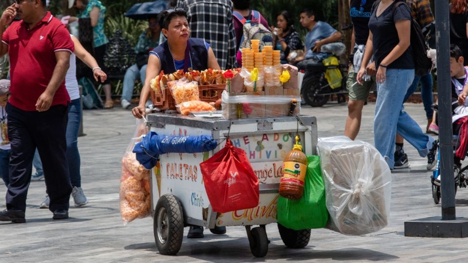 Venta de comida chatarra se prohibirá en escuelas