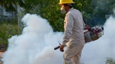 Bajan los casos de dengue en Nayarit, pasó del segundo al quinceavo lugar a nivel nacional