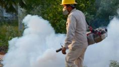 Plan Anual contra el Dengue; así serán las medidas para prevenir la enfermedad en México