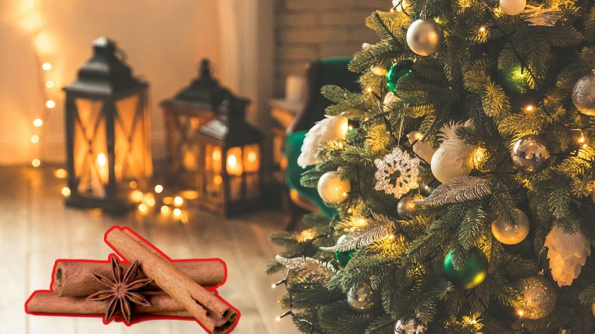 ¿Conoces el origen del árbol de Navidad? Una tradición que llegó de Alemania