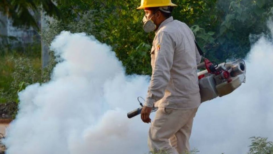 México se prepara ante el aumento de humedad en el territorio y a propagación del Aedes aegypti