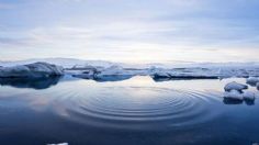 Adiós al Ártico: la ciencia confirma la cercana fecha del fin del hielo en esa zona