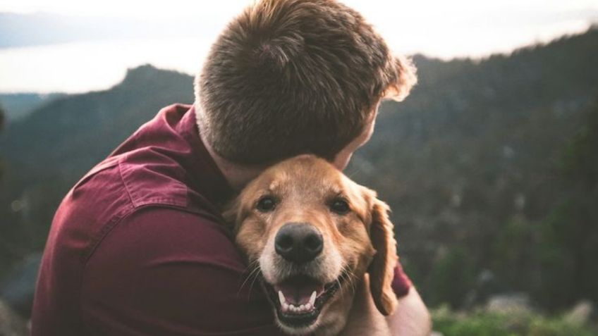 ¿Te gustan muchos los perros? Esto dice la psicología sobre tu comportamiento