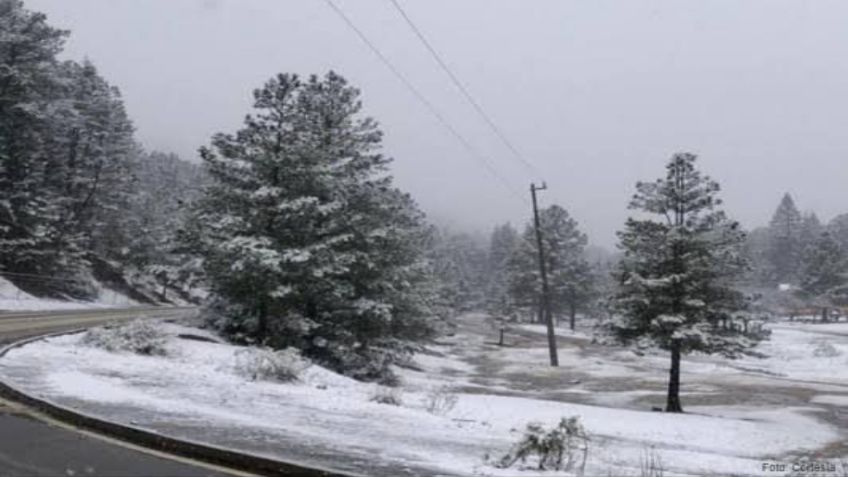 ¡Se congelan en Chihuahua! San Juanito amaneció a -12.2°C, la temperatura más baja del estado