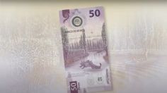 Colección de billetes de 50 pesos "de ajolote" es puesta en venta en 9.5 mdp, ¿tienes alguno igual?