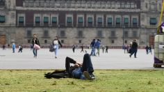 Instalan pasto en el Zócalo tras la peatonalización