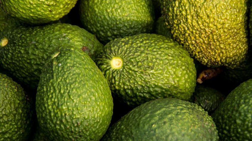 ¿Cuáles son los beneficios del aguacate?