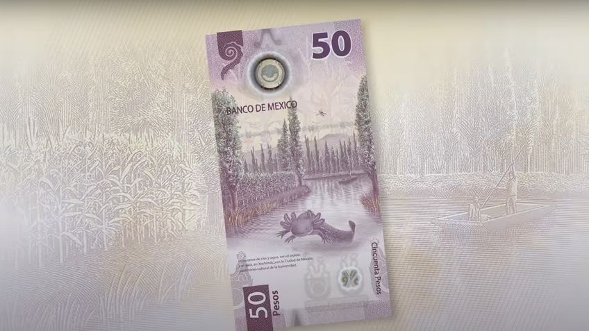 Colección de billetes de 50 pesos "de ajolote" es puesta en venta en 9.5 mdp, ¿tienes alguno igual?