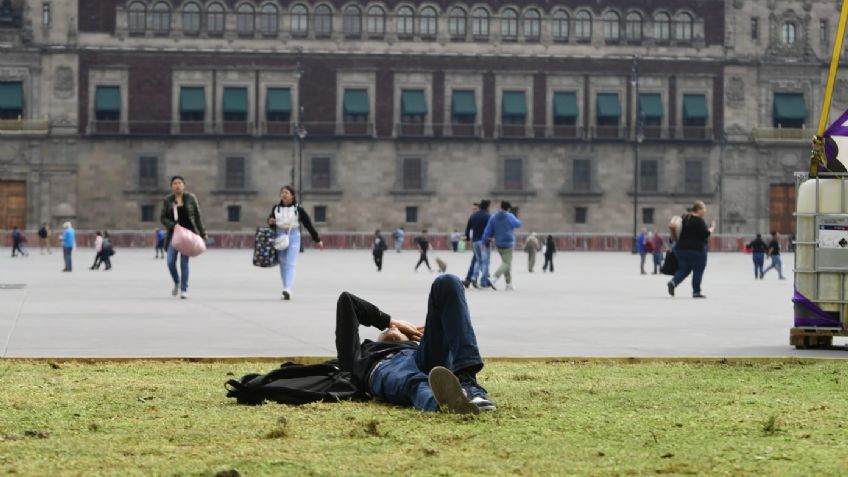 Instalan pasto en el Zócalo tras la peatonalización