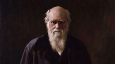 ¿Qué se celebra hoy 12 de febrero?: Día de Charles Darwin