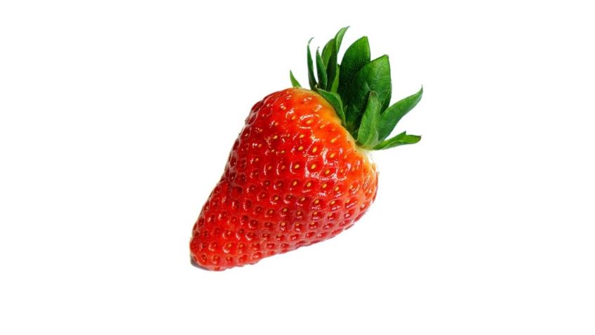 ¿Cómo cultivar fresas en casa? Sencillo truco con solo usar su cáscara 