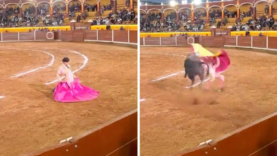 Toro embiste a torero en plena corrida