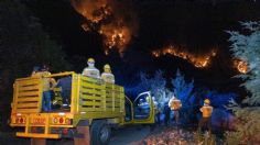 Devasta incendio forestal 300 hectáreas boscosas en Oaxaca