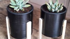 No tires tus latas de aluminio, conviértelas en unas modernas y bonitas macetas para tus plantas