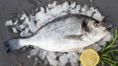 ¿Cómo descongelar el pescado, en el microondas o con agua?