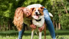 Nunca saques a pasear a tu perro después de comer: estas son las importantes razones