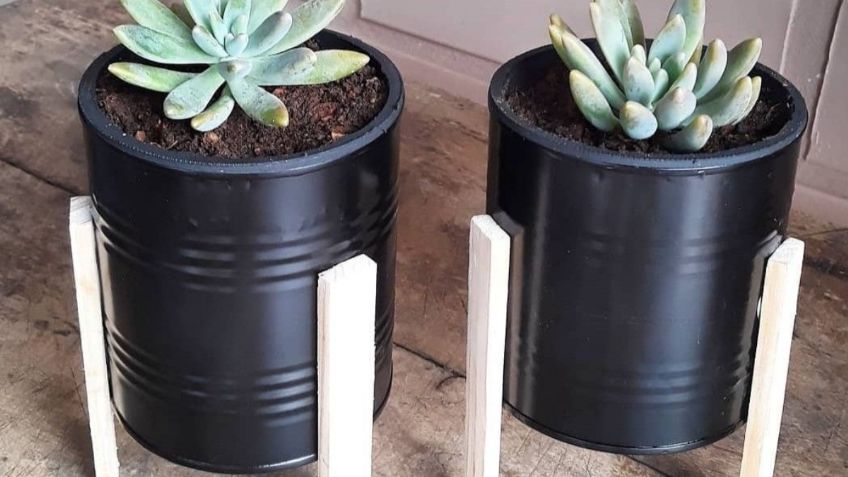 No tires tus latas de aluminio, conviértelas en unas modernas y bonitas macetas para tus plantas