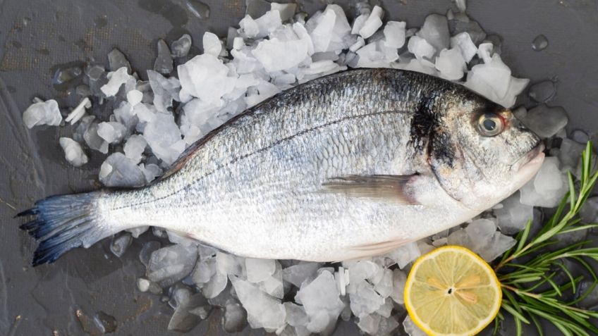 ¿Cómo descongelar el pescado, en el microondas o con agua?