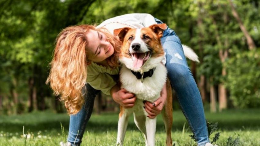 Nunca saques a pasear a tu perro después de comer: estas son las importantes razones