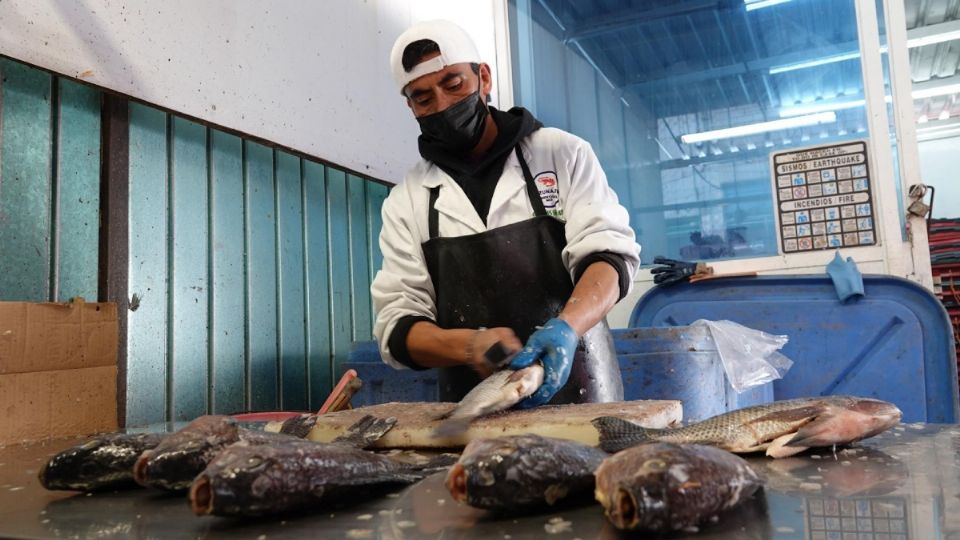 Venta de pescado incrementará este año