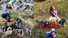 Influencer presume que tiene la mejor cita este San Valentín con sus ocho perros salchicha