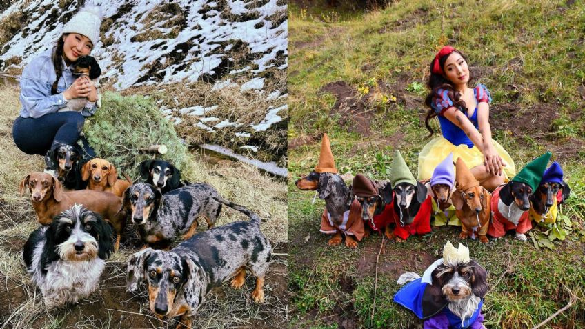 Influencer presume que tiene la mejor cita este San Valentín con sus ocho perros salchicha