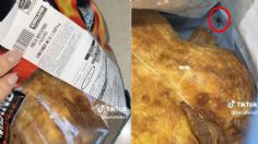 Mujer encuentra larvas y una mosca en pollo rostizado de Costco