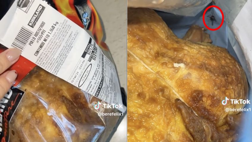 Mujer encuentra larvas y una mosca en pollo rostizado de Costco