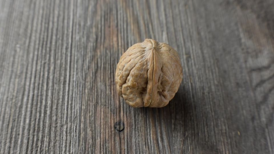 Las nueces son una buena fuente de proteina natural