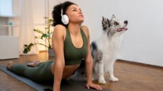 Yoga para perros, conoce los beneficios y pasa tiempo de calidad con tu peludo