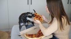 La mejor pizzería pet friendly para visitar este fin de semana con tu mascota