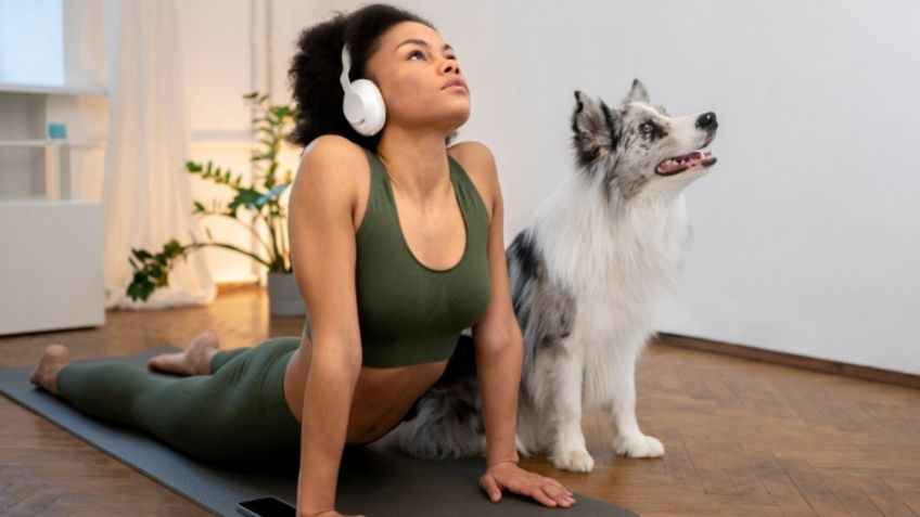 Yoga para perros, conoce los beneficios y pasa tiempo de calidad con tu peludo