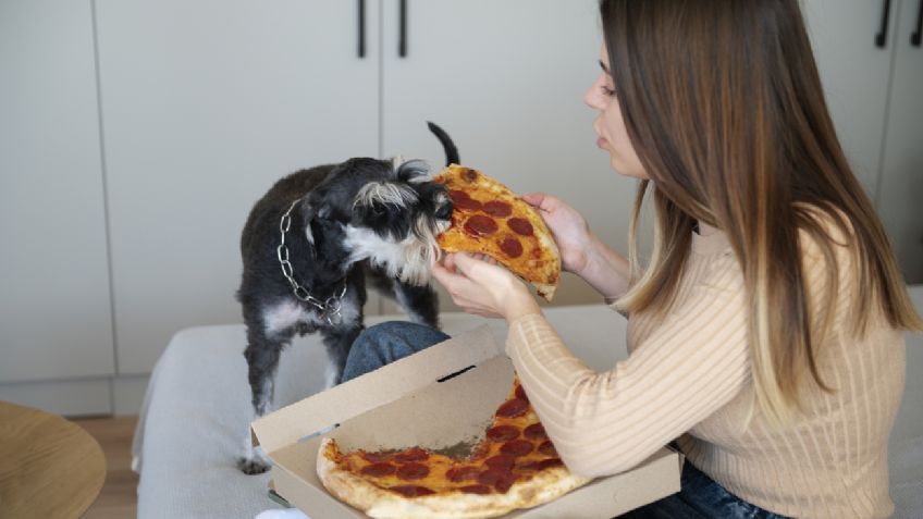 La mejor pizzería pet friendly para visitar este fin de semana con tu mascota