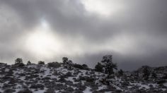 ¿Nevará hoy 17 de febrero en Chihuahua? Esto dice el Servicio Meteorológico Nacional