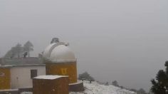 VIDEO | "Se pinta de blanco" el Cerro de Potosí de Galeana, Nuevo León