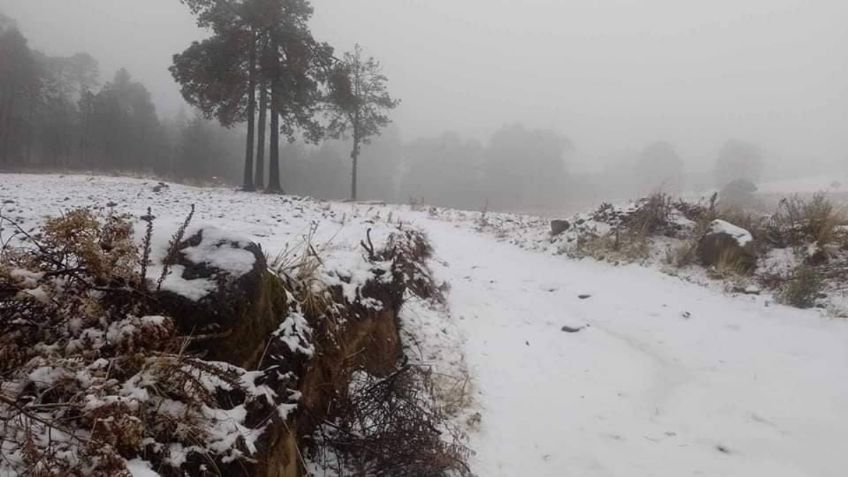 Cae cuarta nevada de la temporada en el Cofre de Perote, Veracruz: Fotos