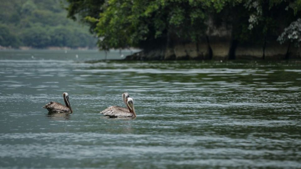 Estos son los tres estados con más agua en México