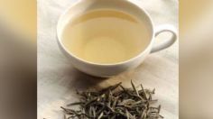 Té blanco: conoce todos los beneficios de esta infusión