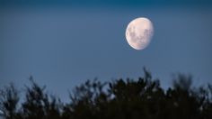 La Güera de las Estrellas: ritual de la Luna de Nieve para congelar las envidias